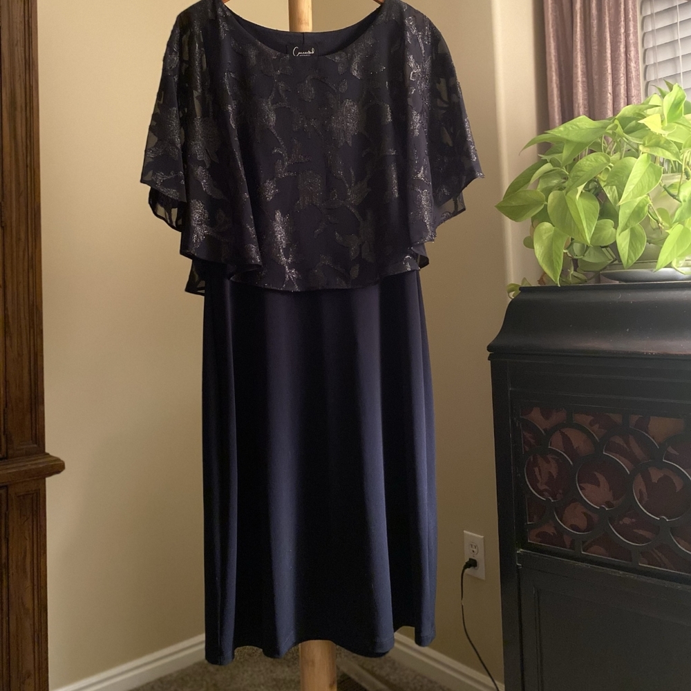Womans Dress